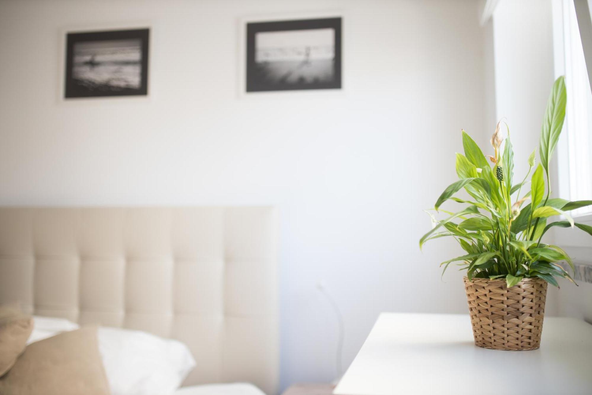 Casas Do Mar Apartment Ribamar  Exterior photo
